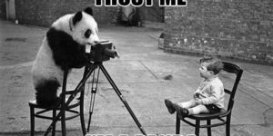 Trust me, I’m a panda.