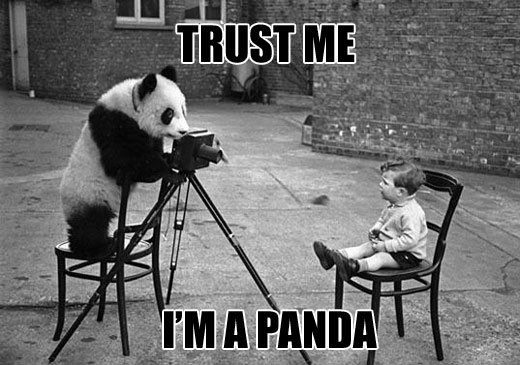 Trust me, I'm a panda.