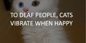 Cats and deaf people.