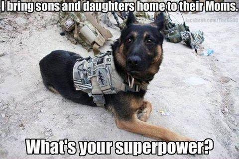 What's your superpower?