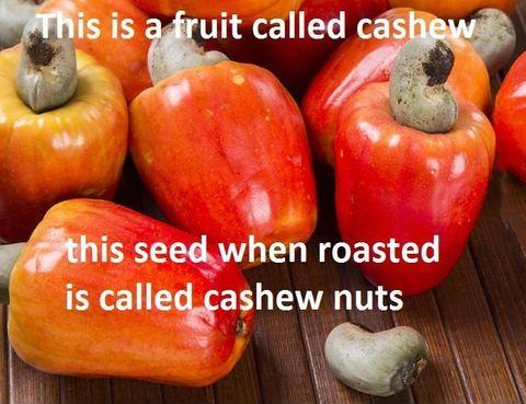 Cashew vs cashew nuts