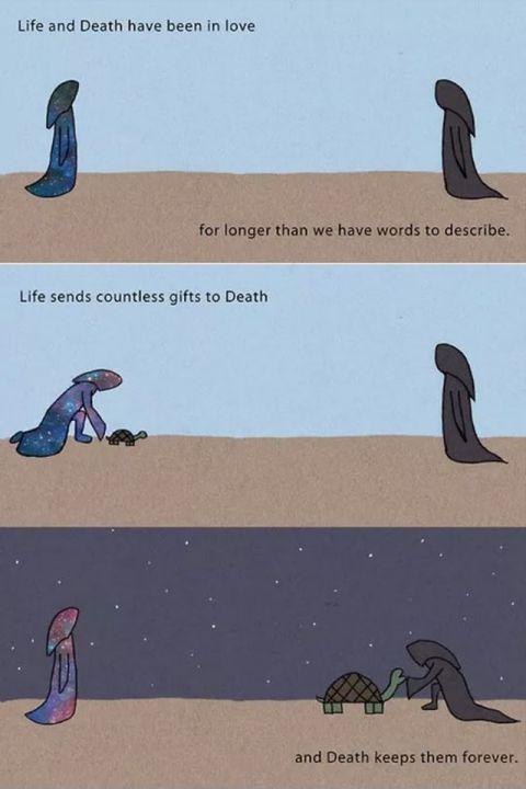 Life and Death