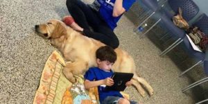 A mother is overwhelmed with emotion as her son with autism bonds with service dog