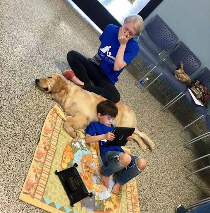 A mother is overwhelmed with emotion as her son with autism bonds with service dog