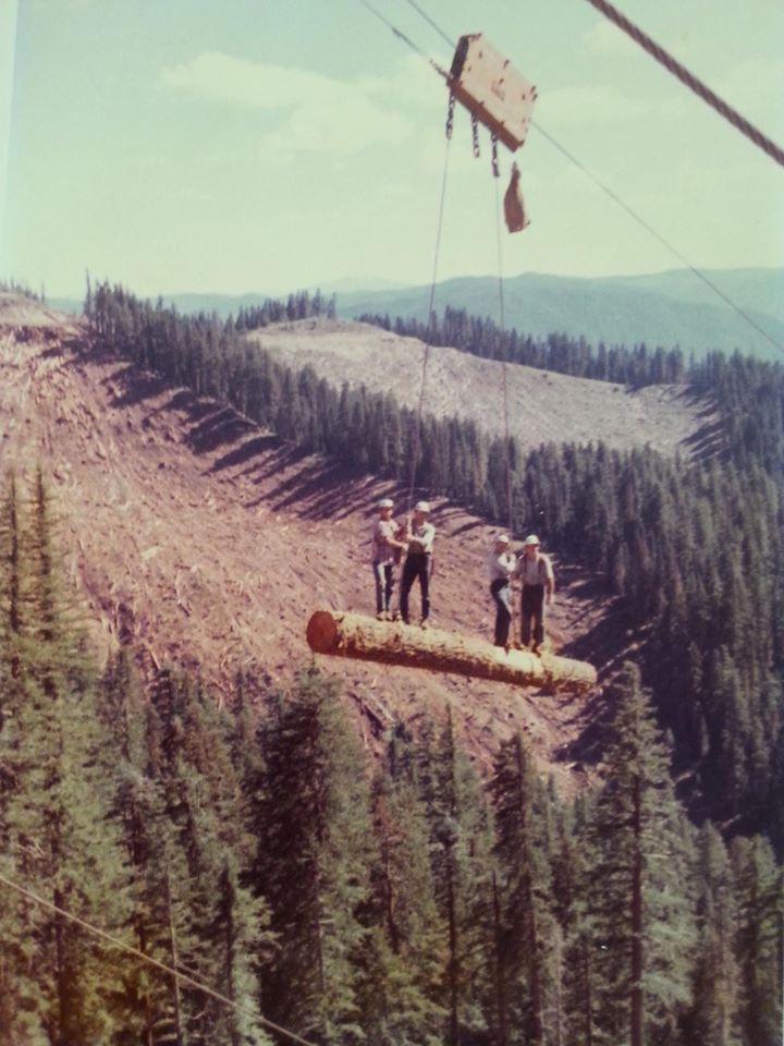 Loggers are a different breed, circa 1977