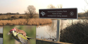 He’s got his own sign and everything…