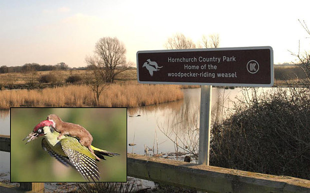 He's got his own sign and everything...