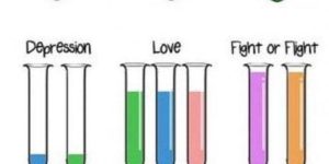 The 5 chemicals that rule your life.