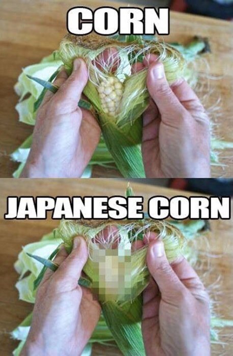 Difference between American and Japanese corn