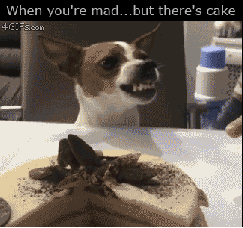 When you're mad, but there's cake