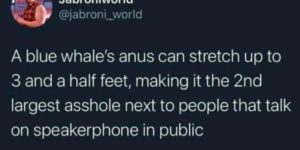 Just blue whale facts.