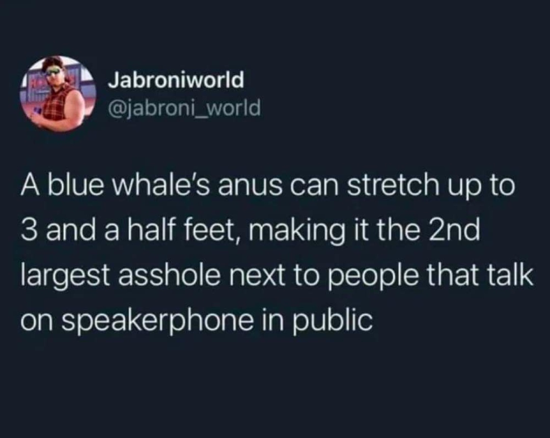 Just blue whale facts.