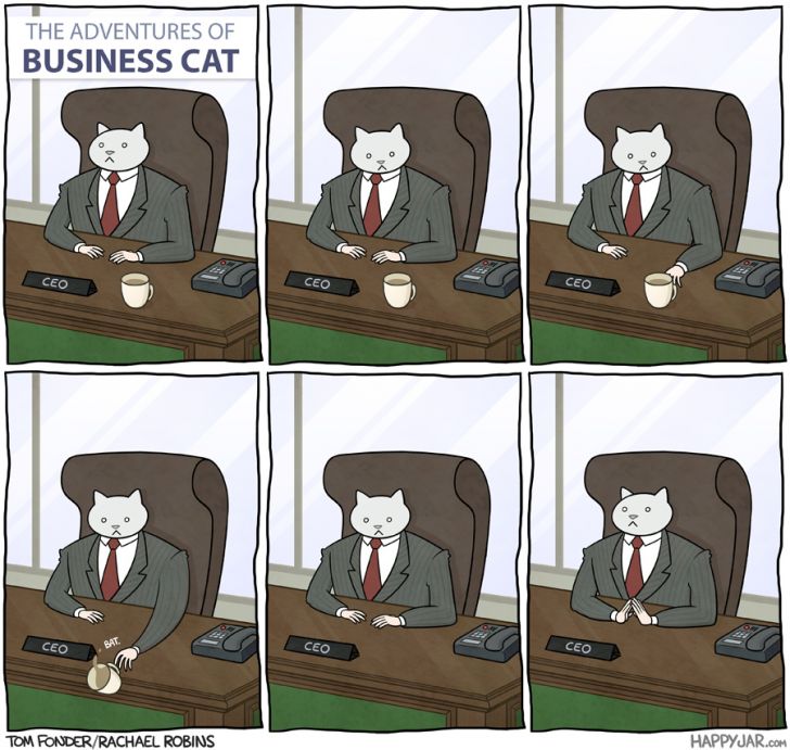 The adventures of Business Cat.