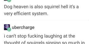 Not All Squirrels Go To Heaven