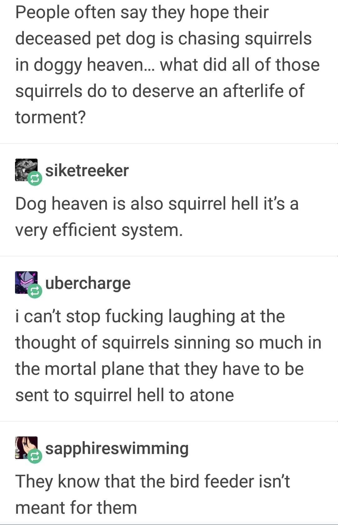 Not All Squirrels Go To Heaven 