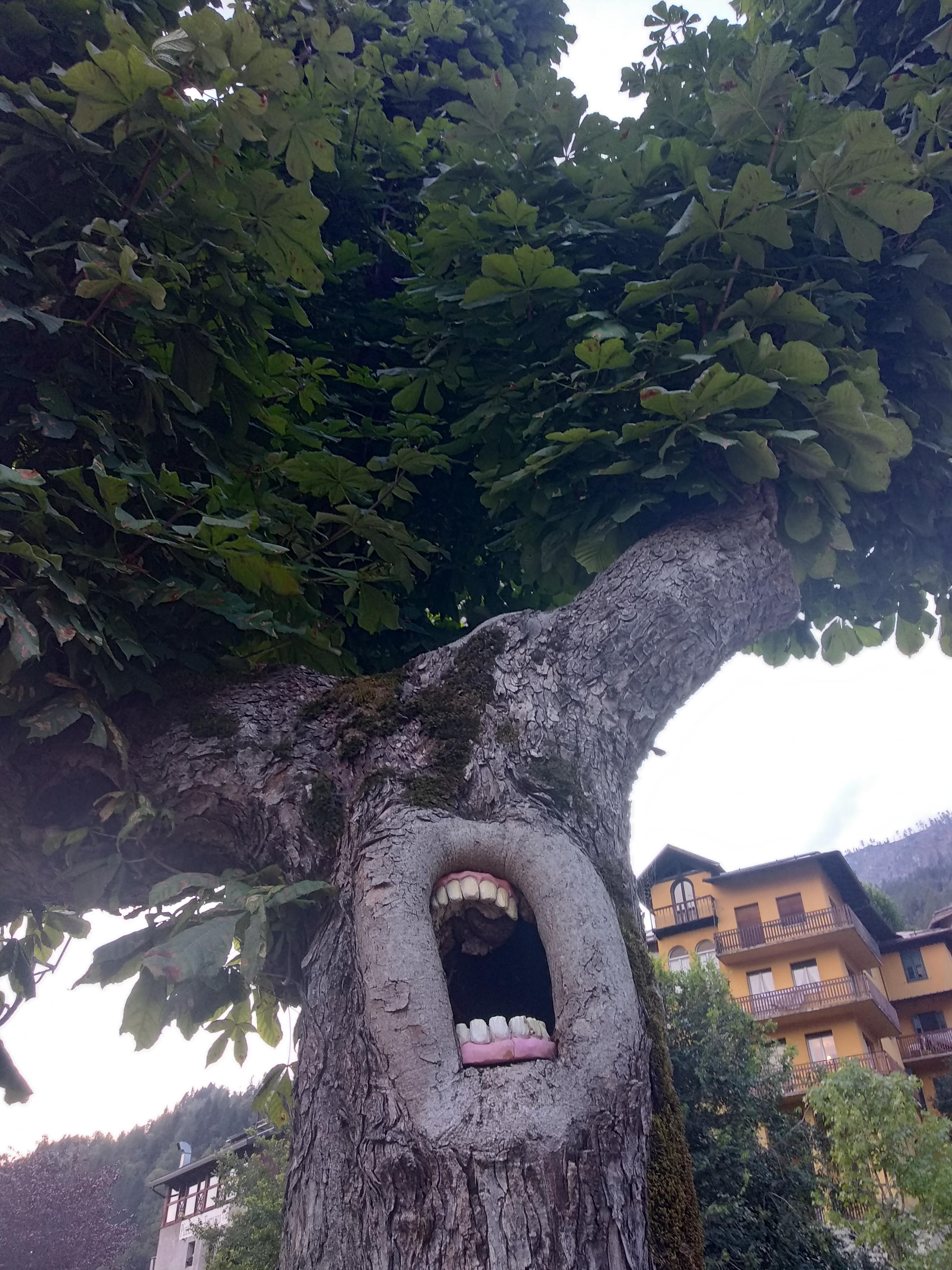 The Ents are not pleased...