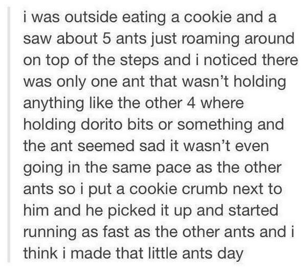 How to make an ant's day.