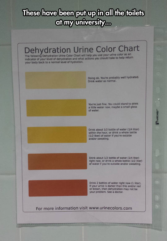 Dehydration Levels To Keep In Mind