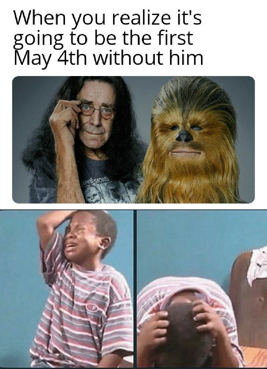 RIP In Peace, Peter Mayhew.