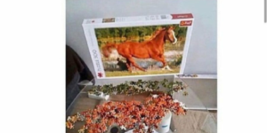 Neigh, you did that wrong…