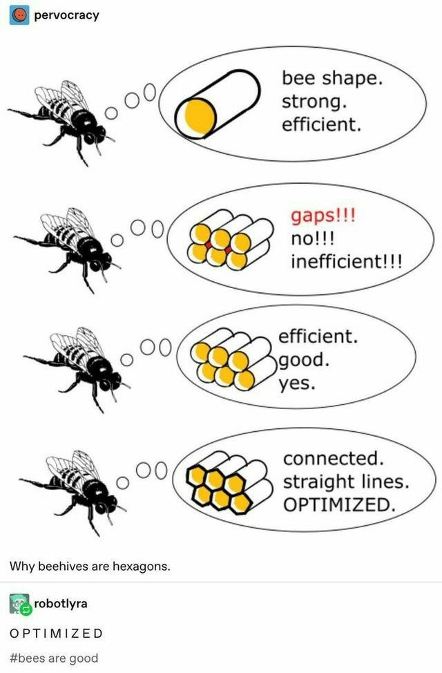 Bees are cute lil engineers. 