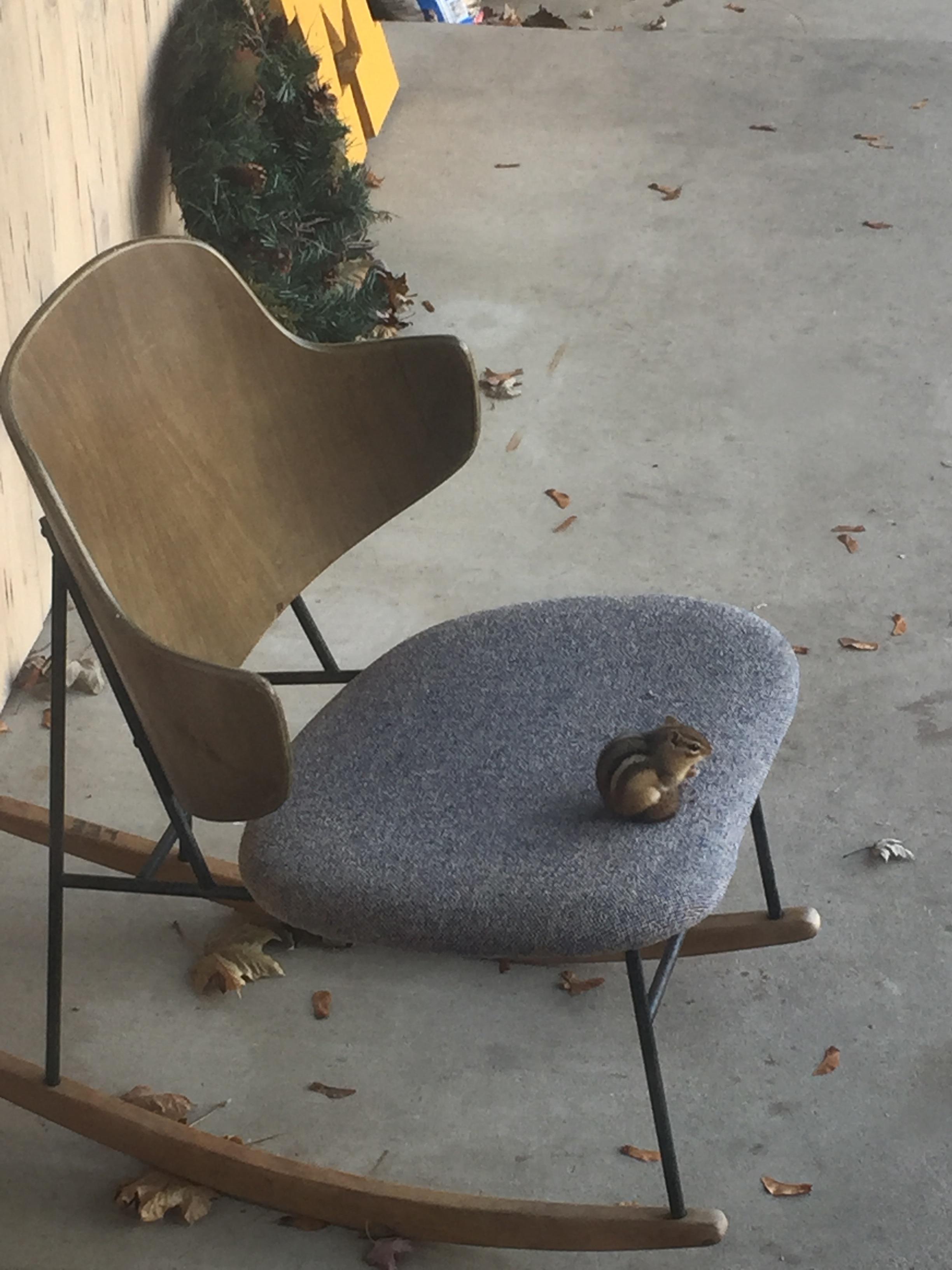 Regular sized chipmunks in ordinary sized chairs eating nuts, probably.