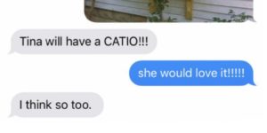 Some catios are nicer than others…