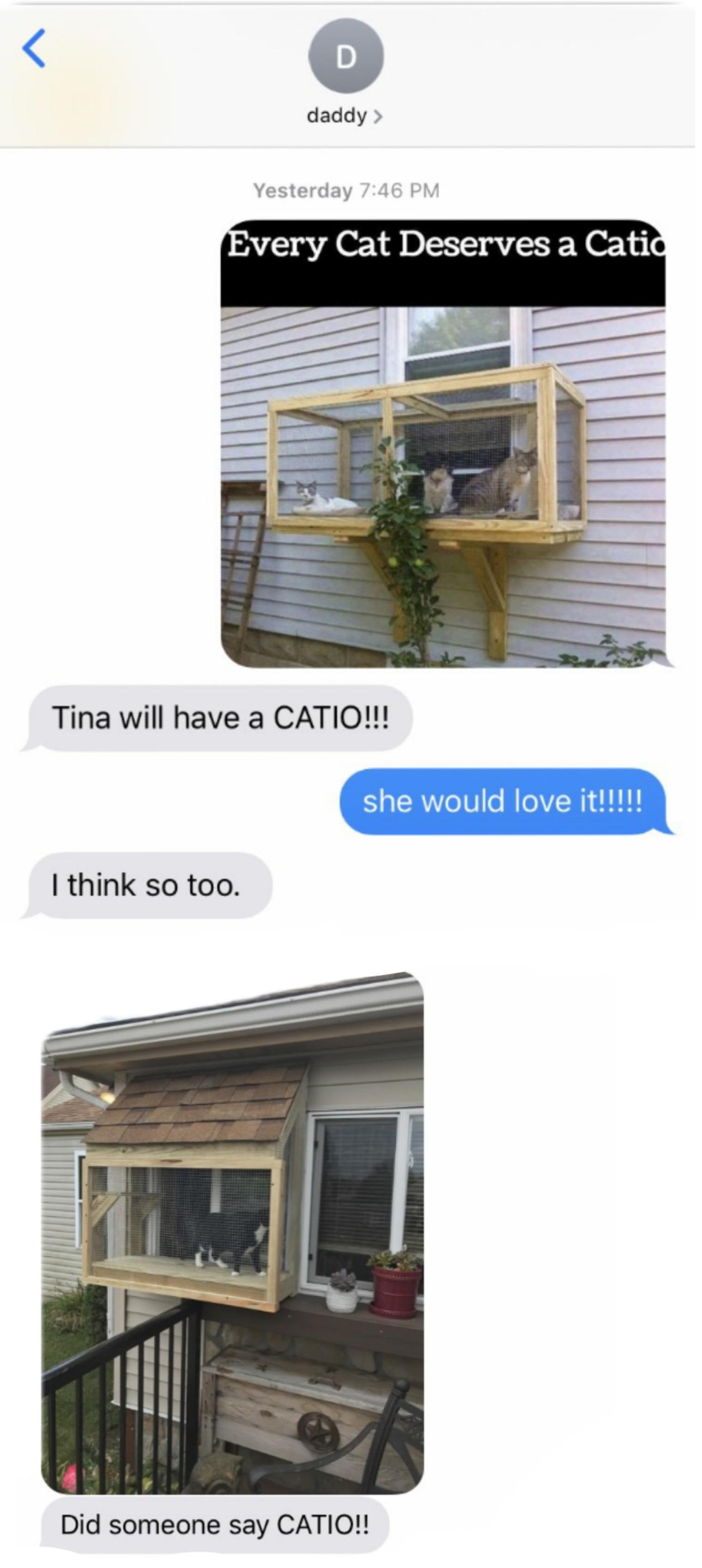 Some catios are nicer than others...