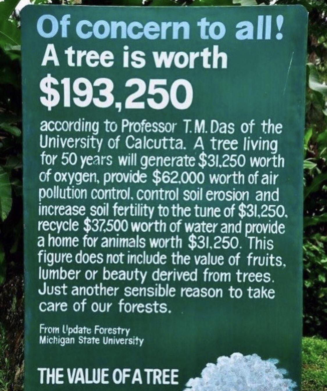 The value of a tree.