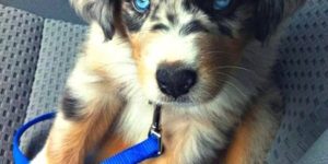 Those eyes…