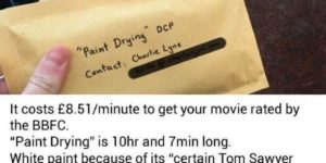 UK Filmmaker trolls the rating board With 10+ hour of paint drying film