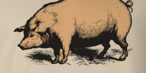 Pigs, superheroes of the animal kingdom