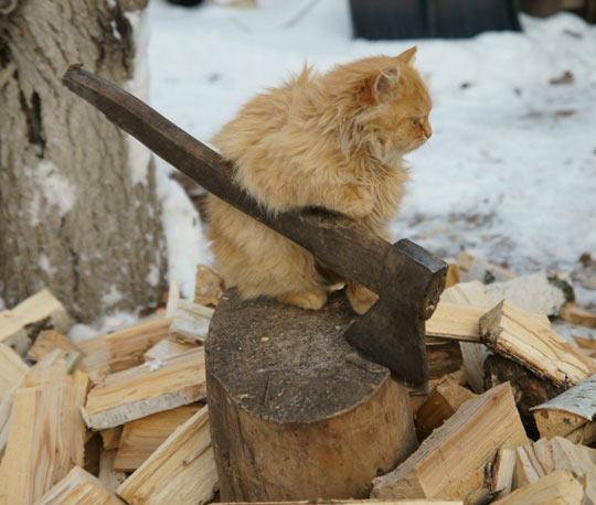 I call him the Woodchipper.