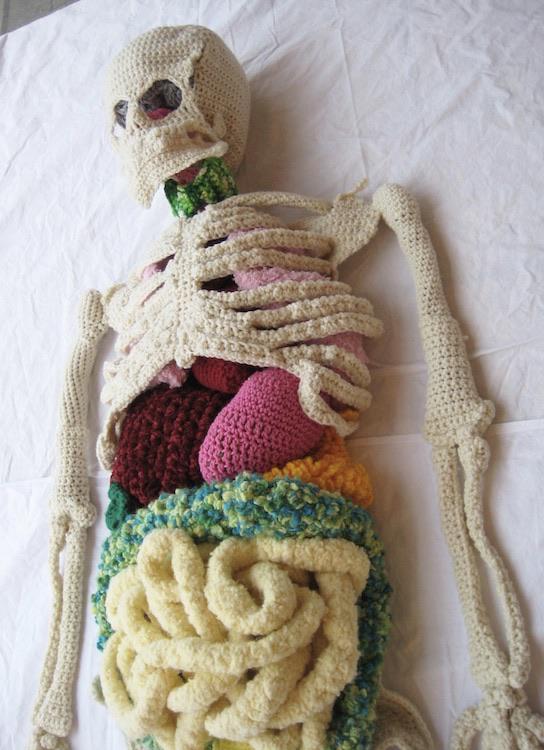 Crocheted anatomy.