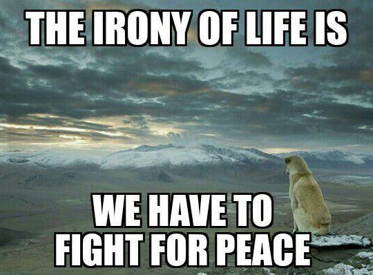 Irony Of Life