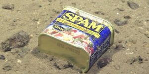 This is a can of SPAM. Nothing unique, except this one is 16,230 feet underwater on the slope of the Mariana Trench