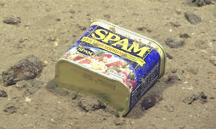 This is a can of SPAM. Nothing unique, except this one is 16,230 feet underwater on the slope of the Mariana Trench