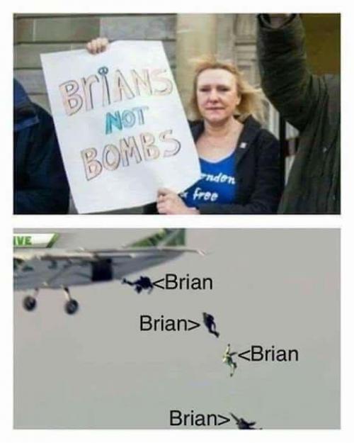 If I only had a Brian