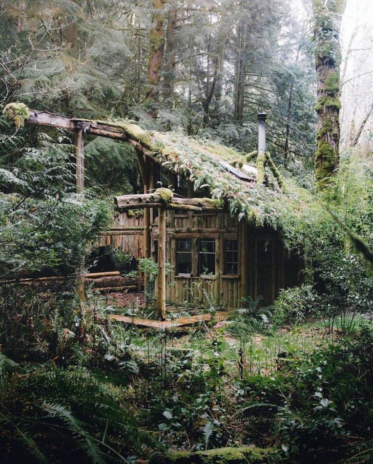 I could be a Hermit here.