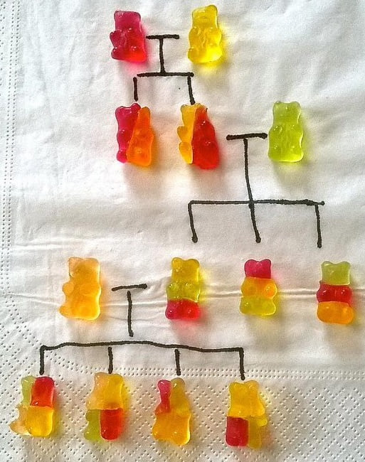 Genetics for gummies.