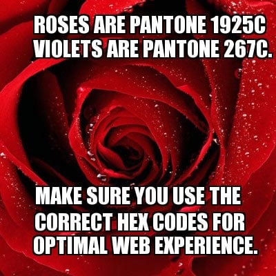 Roses are Pantone 1925C