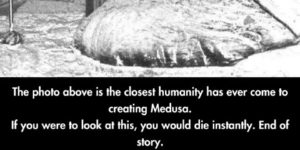Creating Medusa.