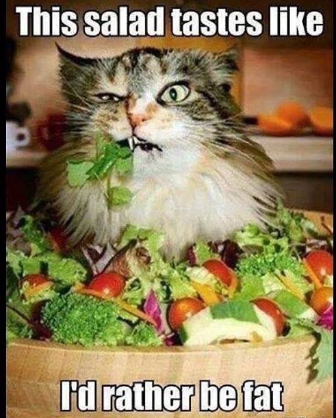 My feelings on salad