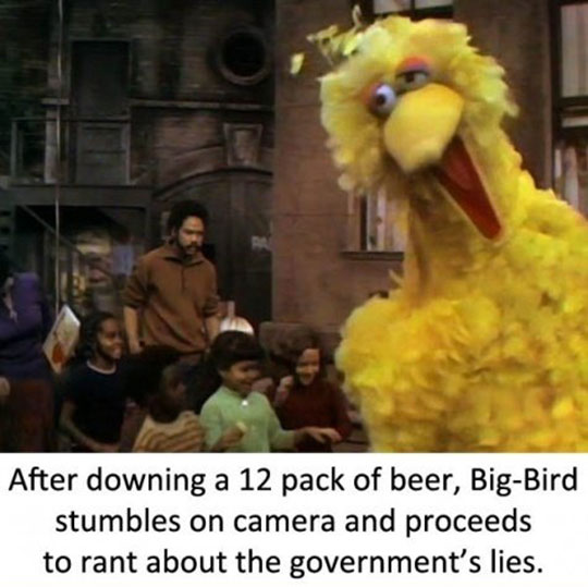 Big Bird had a rough day...