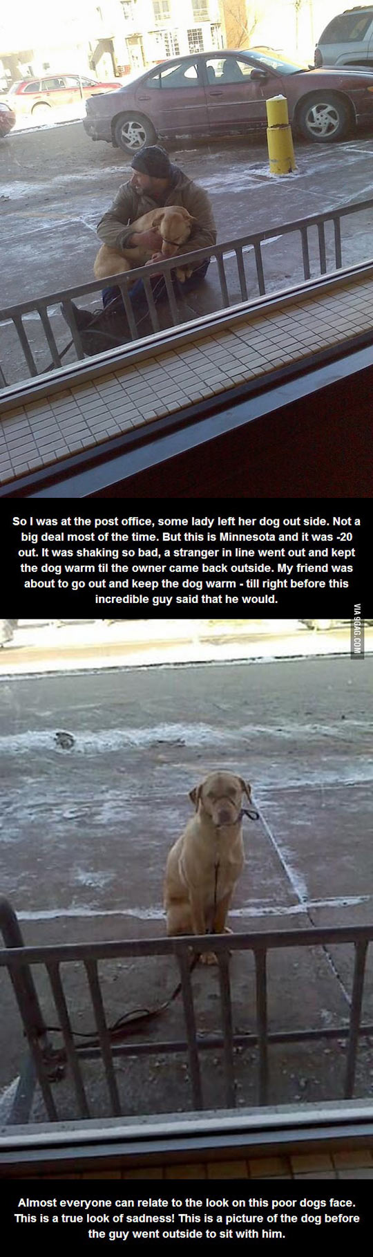 Don't leave your dogs out in the cold.