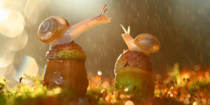 Snails+in+the+Rain