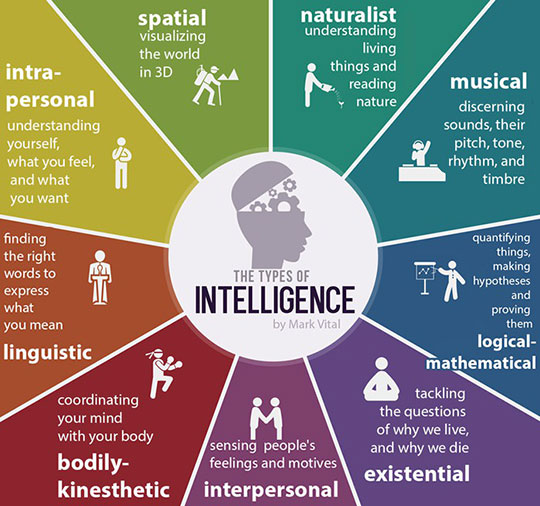 Types of Intelligence