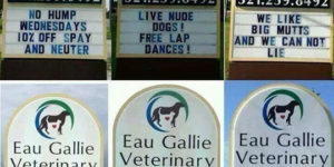 I like this vet hospital