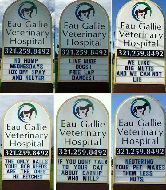 I like this vet hospital 