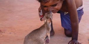 Aussie boops.